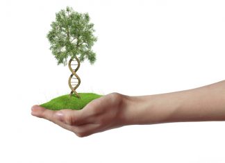 Greenpeace, in sette principi una ricetta alternativa per “nutrire il pianeta”