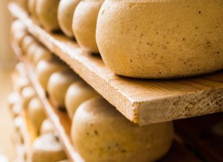 Formaggi senza latte, la Ue: “Si può ma non per i Dop”