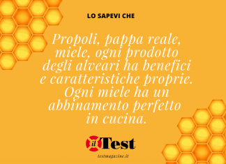 Il Test porta il miele a Expo2015