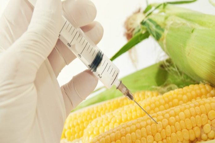iStock_000021511180_Small-750x375