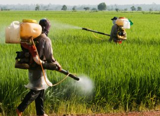 La Francia ha deciso di bandire i diserbanti con il glifosato