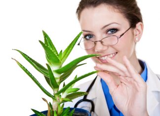 Aloe Ghignone: i miracoli possono attendere