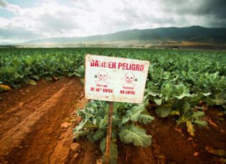 Pesticidi, l’Efsa finalmente scopre una parte delle carte