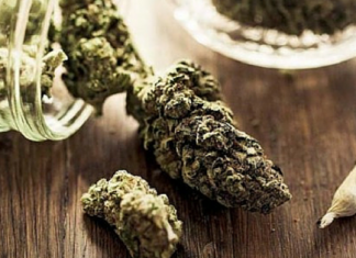 Il nuovo numero del Test vi racconta cosa vi fanno fumare test-marijuana