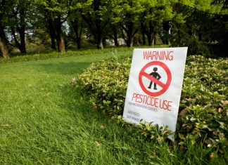 Frutta, verdura e pesticidi: la sporca dozzina dell’Ewg