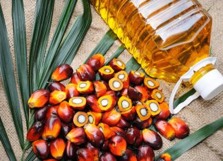 Olio di palma, Francia rivede la tassa sull’import