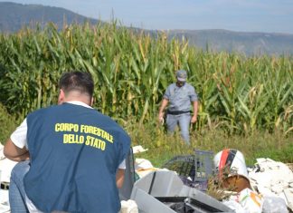 Corpo Forestale addio. E i reati ambientali?
