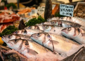 “L’importante è che sembri fresco”. Come ci imbrogliano sul pesce PESCA TRUFFE