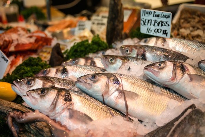 PESCA TRUFFE PESCA TRUFFE
