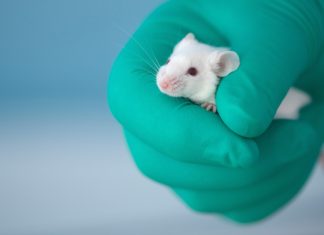 La Cattaneo? Per il partito unico della scienza