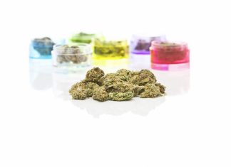 Cannabis terapeutica, altro che legale…
