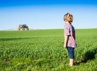 Glifosato, la campagna Usa: “Monitorate i livelli dell’erbicida nel corpo umano” PESTICIDA BAMBINO