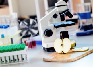 Glifosato, al via studio indipendente del Ramazzini