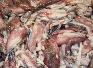 Eurofishmarket: chi usa acqua ossigenata nel pesce lo dica al consumatore