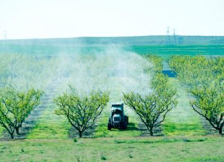 Francia, abitare vicino a un frutteto espone a un cocktail di pesticidi