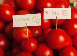 Etichettatura Ogm, negli Usa “Big food” ad un bivio