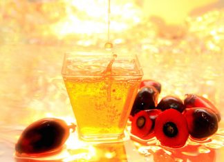 Olio di palma, l’Efsa torna indietro sul cancerogeno 3-Mcpd