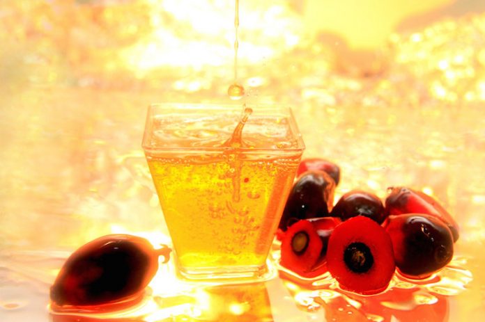 olio palma