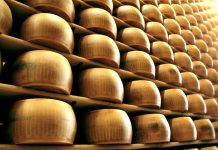 Grana all’aflatossina, e gli altri formaggi?