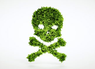 “Carte truccate”: Europa e Usa hanno approvato il glifosato con studi inaccettabili di Monsanto GLIFOSATO