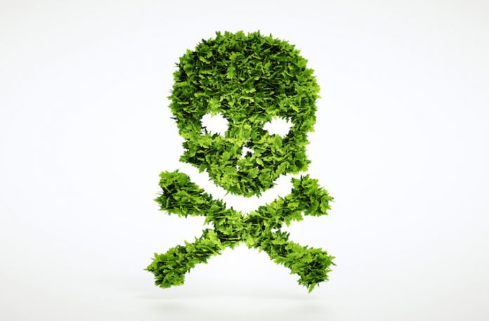 glifosato pesticidi GLIFOSATO