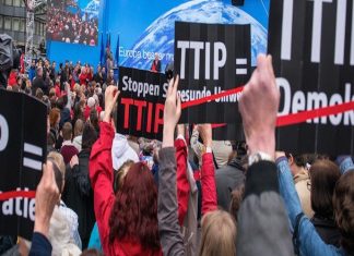 Ttip, Greenpeace svela documenti segreti: “Via libera a Ogm e pesticidi”
