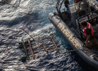 Greenpeace: “La nostra nave contro la pesca distruttiva del tonno Mareblu”