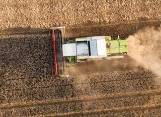 Corte dei conti Ue: la politica agricola europea non può incentivare chi usa i pesticidi Ogm