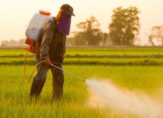 Glifosato, l’ombra dei big del biotech dietro il parere della Fao
