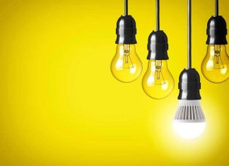 Efficienza e risparmio ecco come scegliere la lampadina giusta