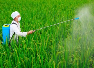 Glifosato, decisione rinviata di 15 giorni