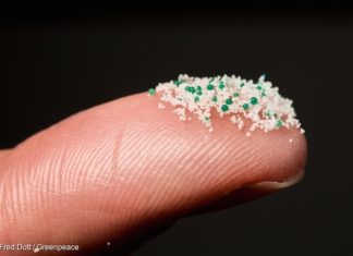 Microplastiche, ecco le aziende che non riescono a farne a meno
