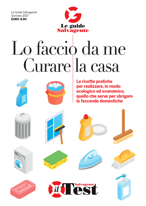 Lo faccio da me curare la casa