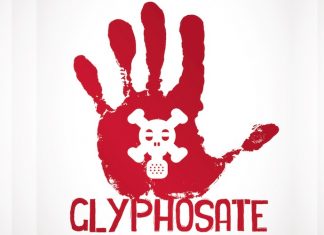 Glifosato, la Francia concede un bonus alle aziende che smettono di usarlo GLIFOSATO FRANCIA BONUS