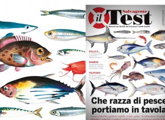 Non sapete che pesci pigliare? Ci pensa il Test-Salvagente