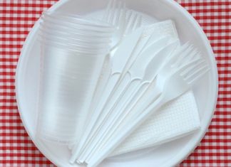 Francia, addio alle stoviglie di plastica