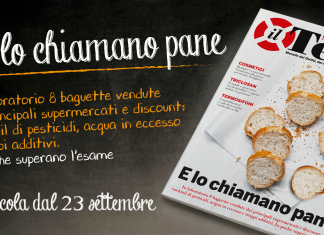 E lo chiamano pane. In laboratorio 8 baguette da supermercato