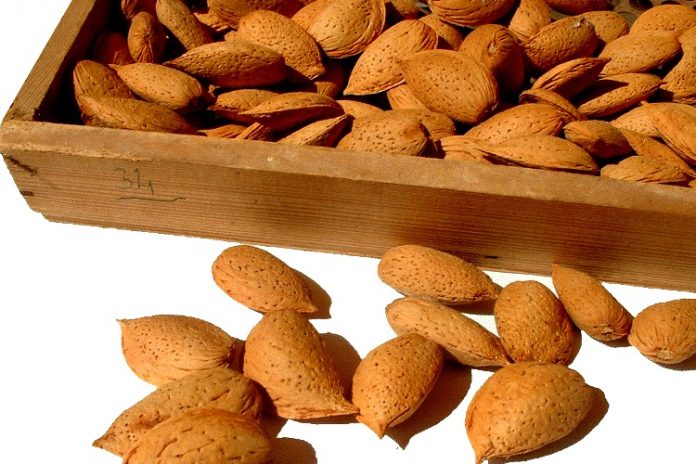 mandorle avola