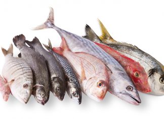 Arsenico, mercurio, diossine e Pcb nel pesce. Uno studio li collega a maggior rischio di melanoma PESCE