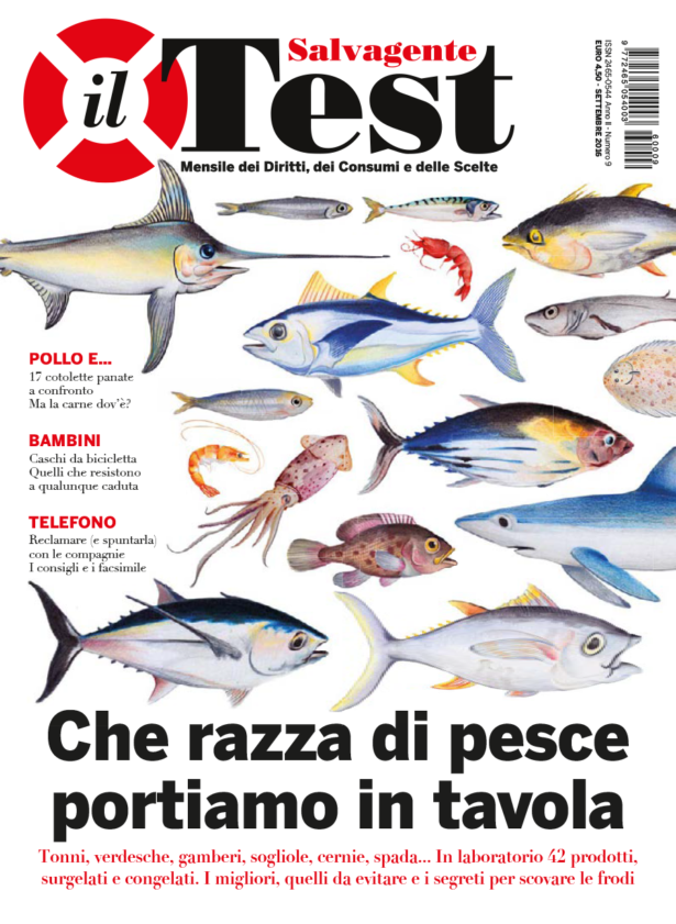 Il Test-Salvagente n.9 Settembre 2016 (PDF)