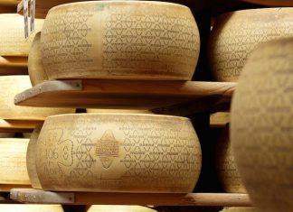 Benessere animale, Grana Padano replica al Ciwf: “Il nostro impegno è reale”