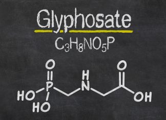 Glifosato nell’avena per bambini, la scoperta della Fda