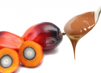 In Svizzera Coop e Migros nascondono l’olio di palma