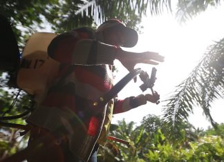 Olio di palma, Amnesty: “Nelle piantagioni sono sfruttati bambini e donne”