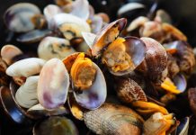 Vongole contaminate da metalli pesanti: dalla Campania scatta l’allarme europeo