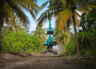 Lo stop alla deforestazione? Per l’Europa deve attendere i comodi delle industrie MERCOSUR DEFORESTAZIONE