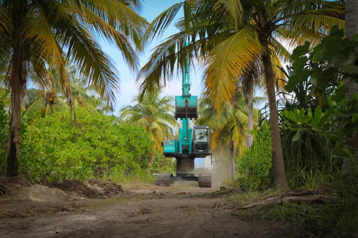 MERCOSUR Destroy the Rainforest MERCOSUR DEFORESTAZIONE