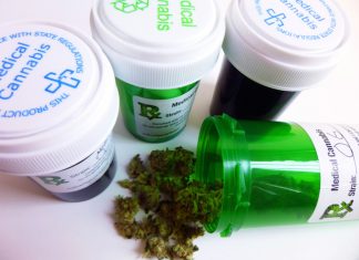 Cannabis terapeutica, vietate le spedizioni dei preparati CANNABIS