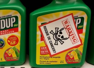 Bayer sotto assedio tra cause miliardarie e menzogne palesi sul glifosato GLIFOSATO BAYER