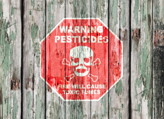 Pesticidi fantasma: scoperte nuove sostanze nel terreno che sfuggono a tutti i controlli PESTICIDI